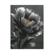 Silver Peony Fine Art Floral Wall Art & Canvas Print