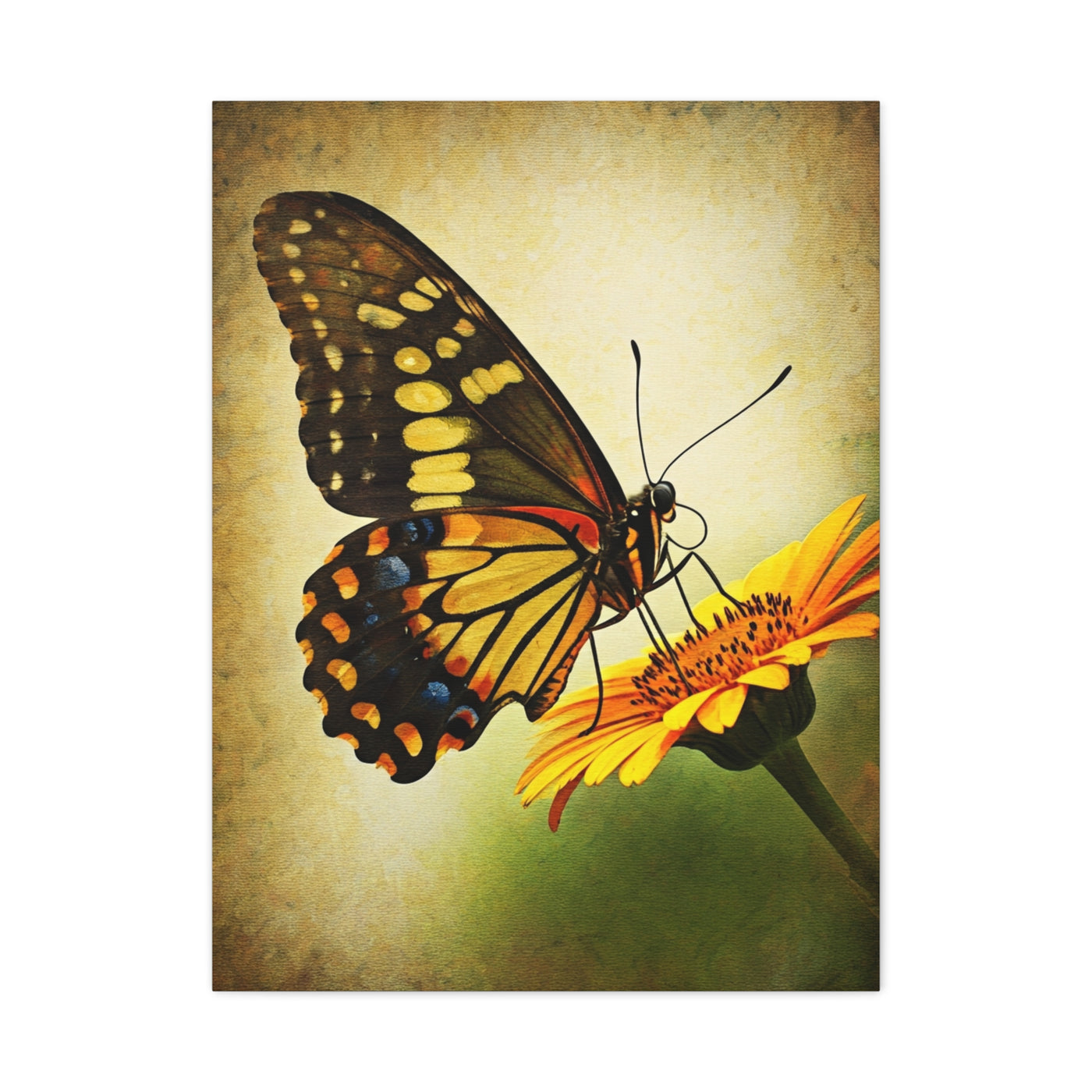 Golden Meadow Butterfly on Flower Wall Art & Canvas Prints