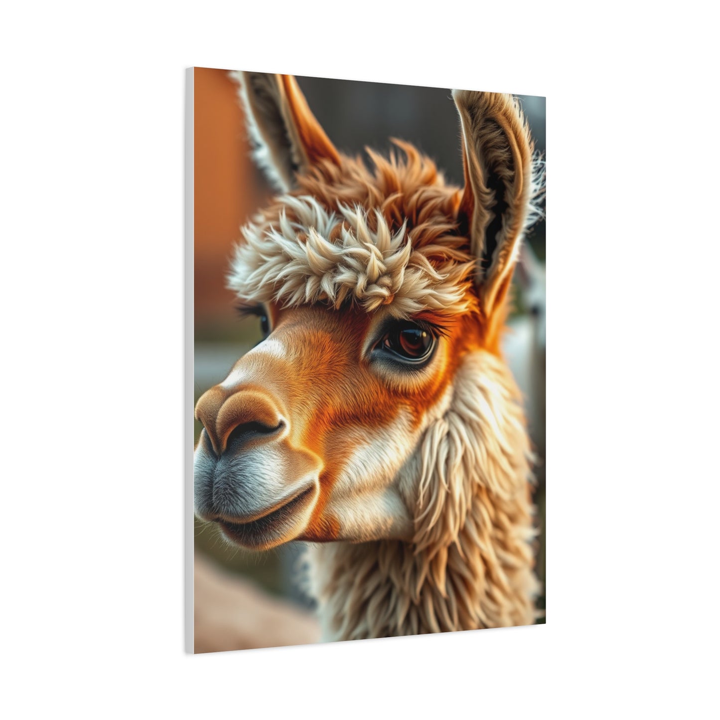 Llama & Alpaca Art Supreme Gallery Wall Art & Canvas Print