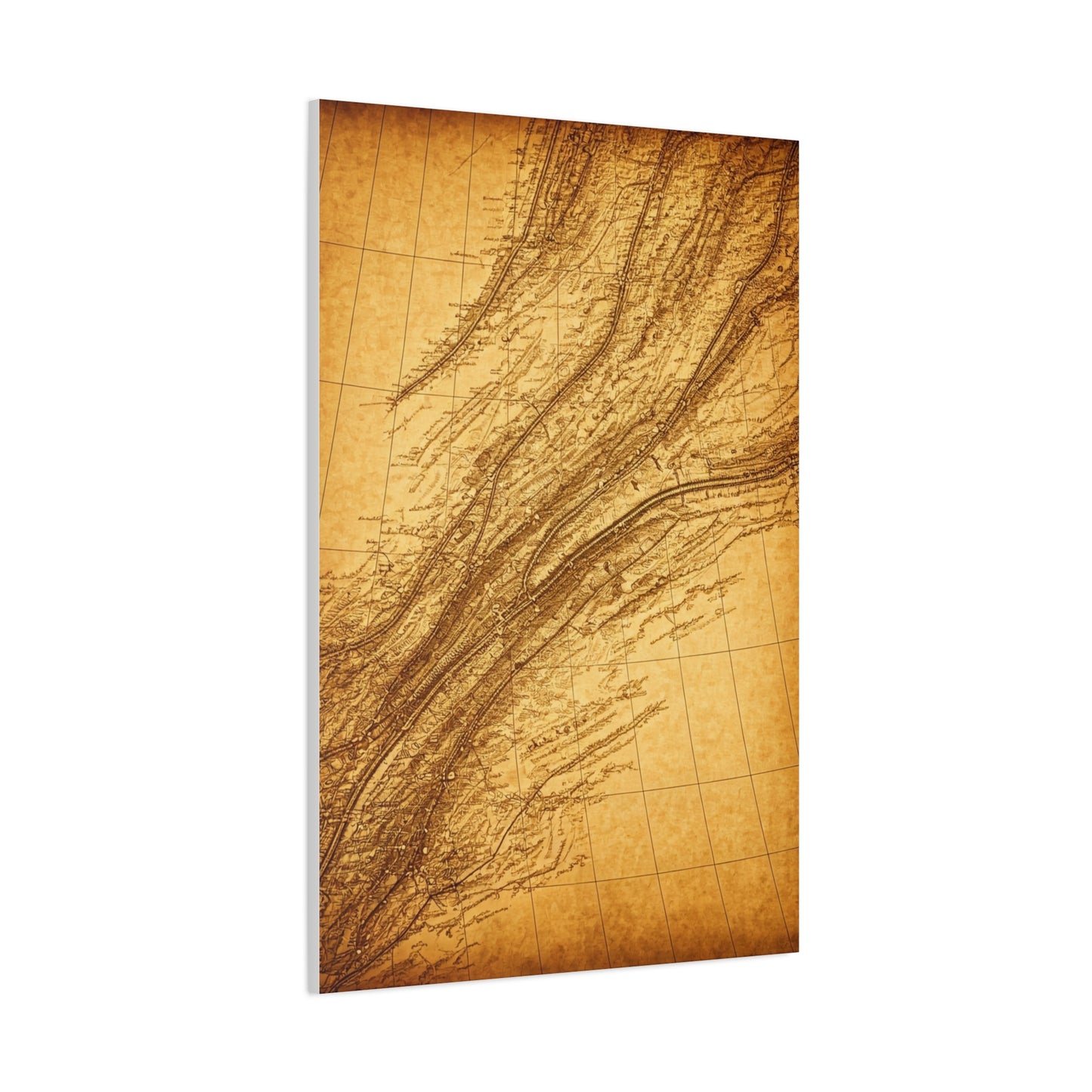 Antique Parchment Texture Abstract Wall Art & Canvas Prints