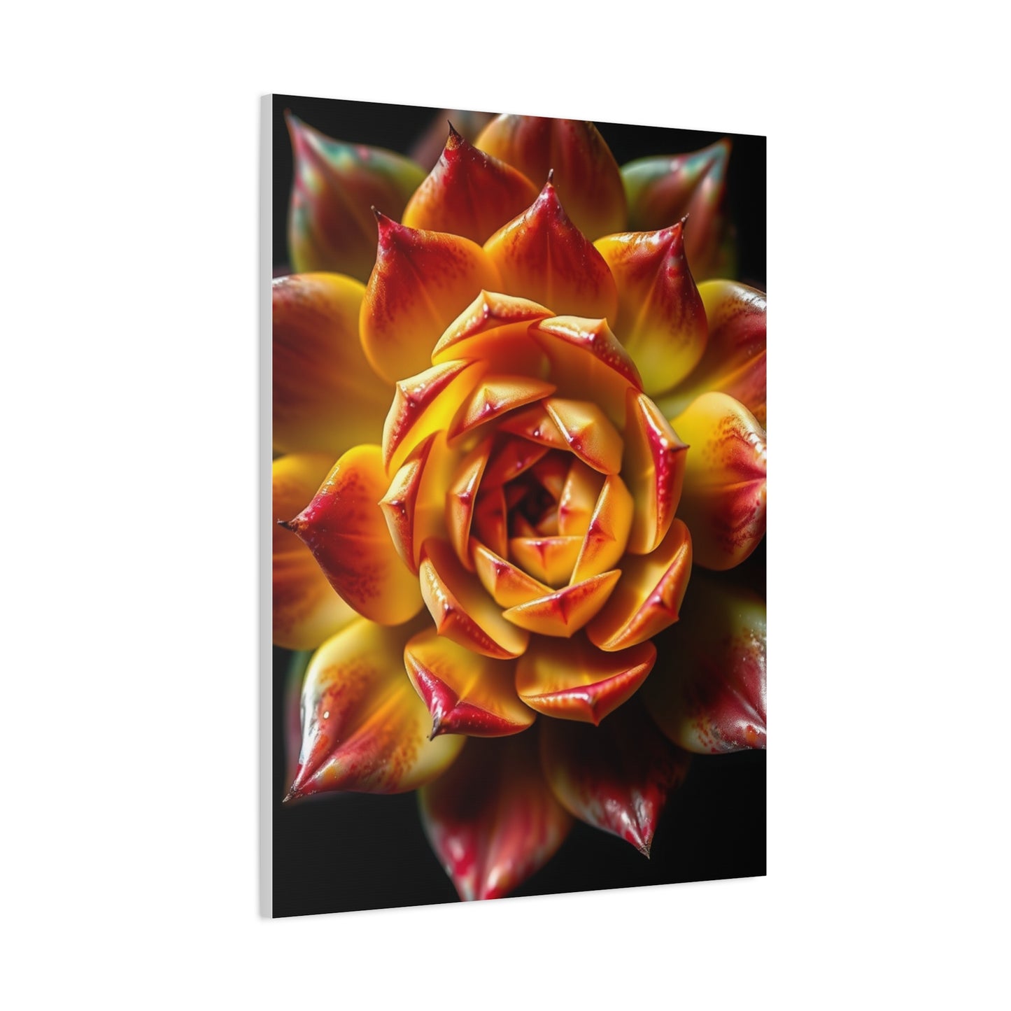 Supreme Succulent Art Beautiful Collection Wall Art & Canvas Print