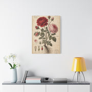Victorian Rose Botanical Study Wall Art & Canvas Print