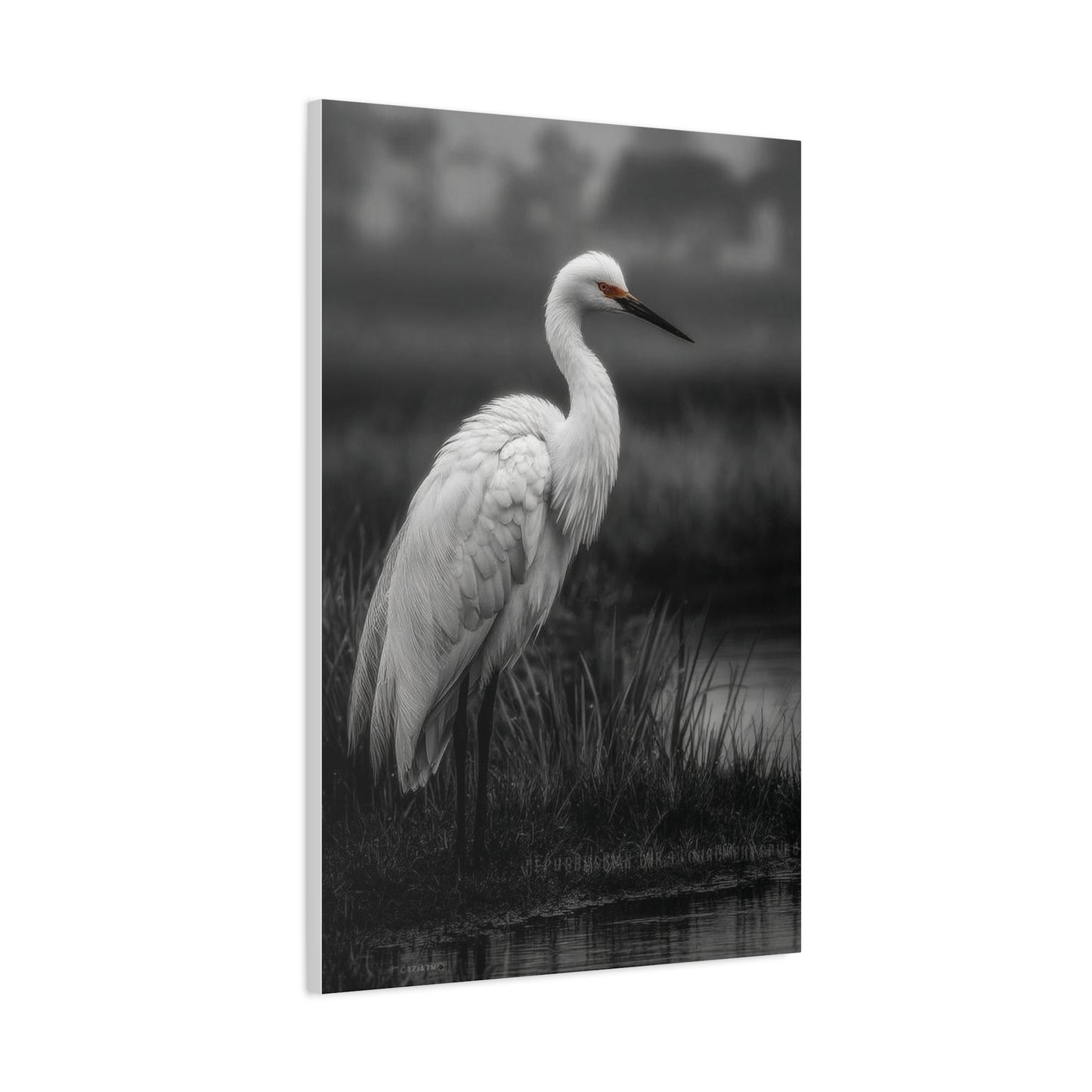 Light Grey Crane Mist Portrait Wall Art & Canvas Print