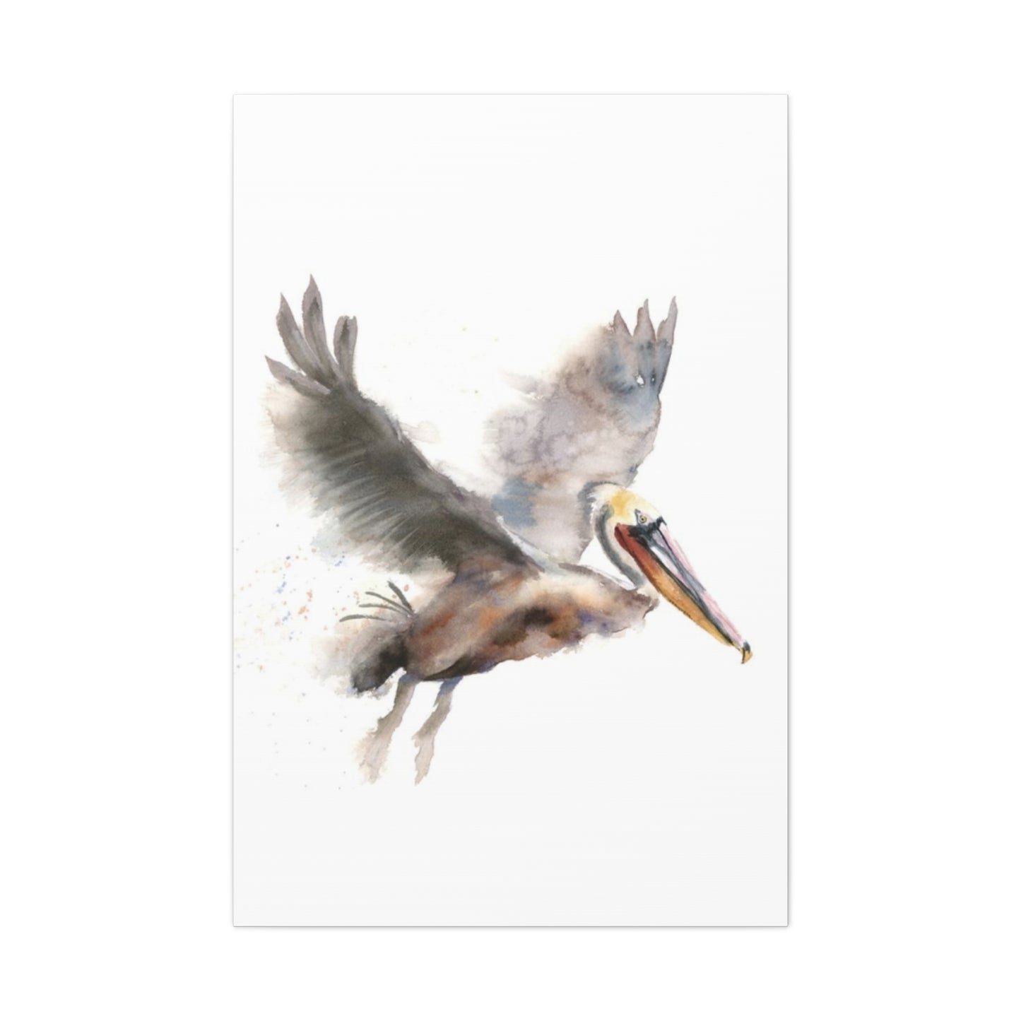 Flying Pelican Painting Wall Art & Canvas Prints