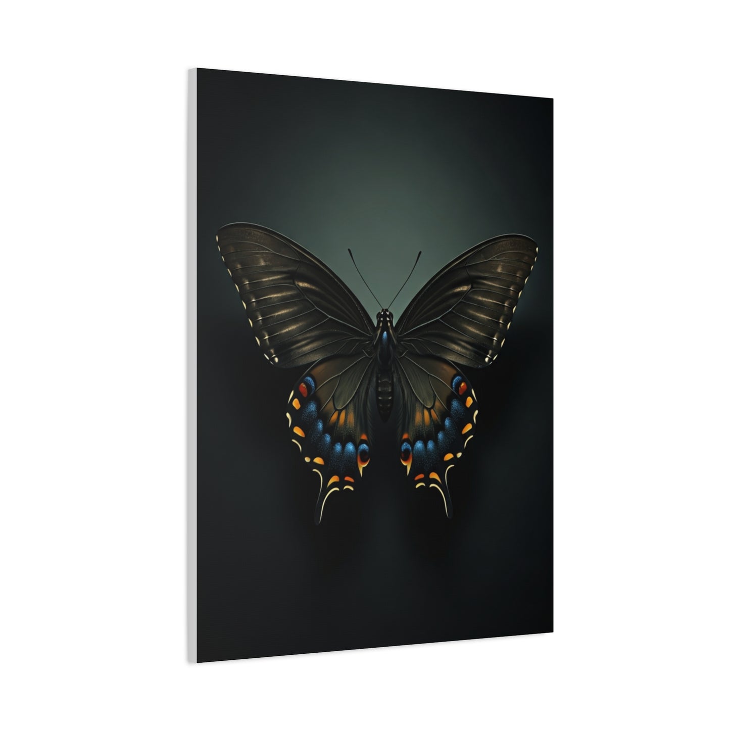 Midnight Swallowtail Butterfly with Jewel Wing Accents Wall Art & Canvas Prints