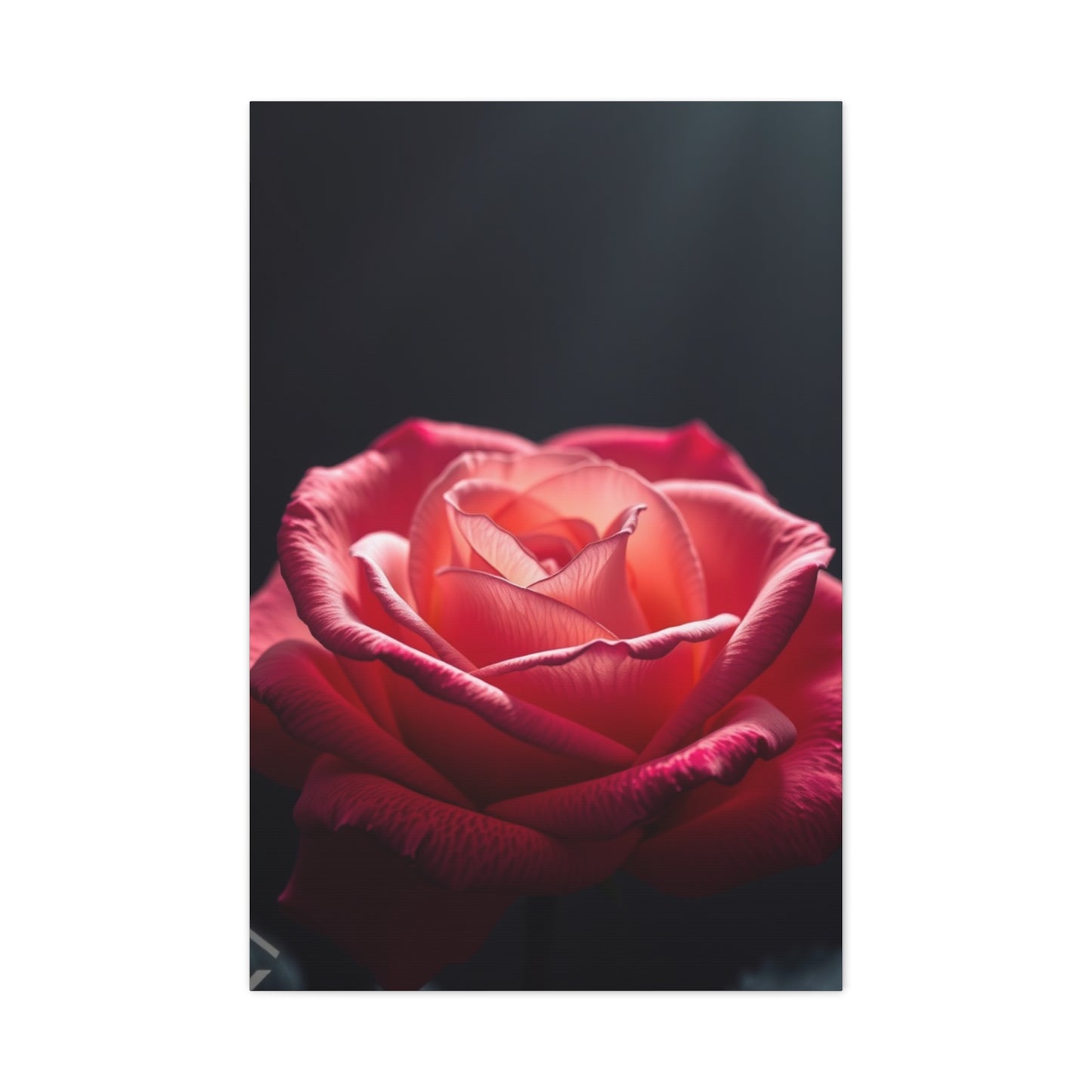 Rose Flower Art Supreme Canvas Wall Art & Canvas Print