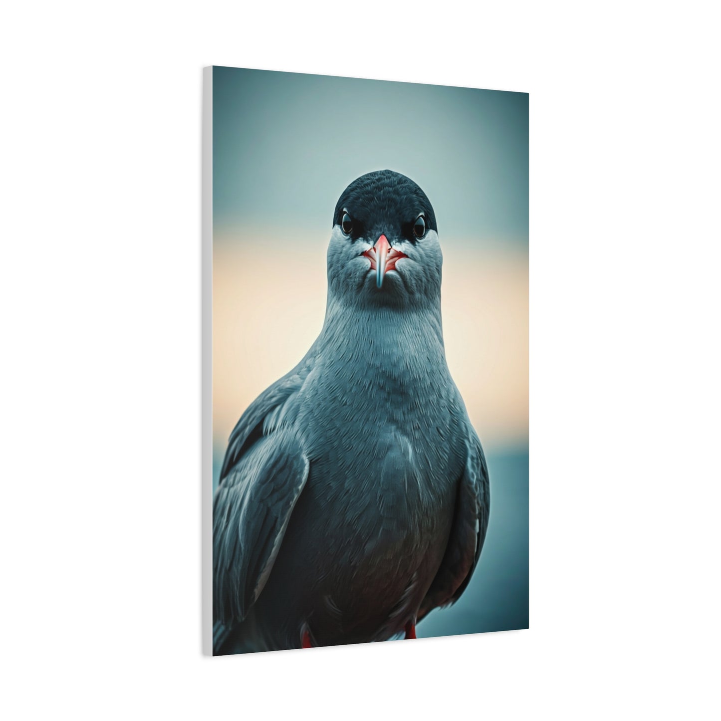 Arctic Tern Portrait Wall Art & Canvas Prints