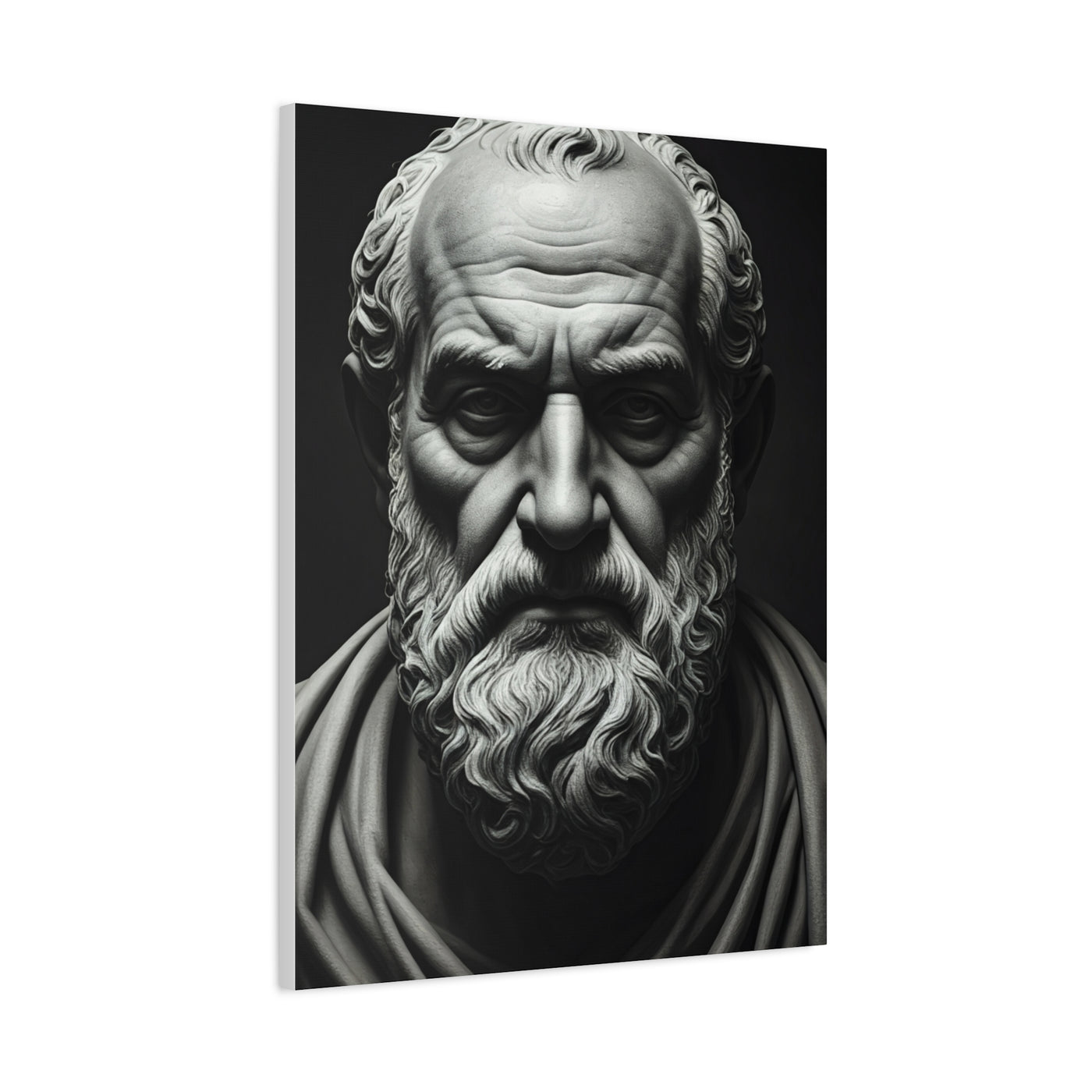 Timeless Wisdom Black & White Elder Portrait Wall Art & Canvas Prints
