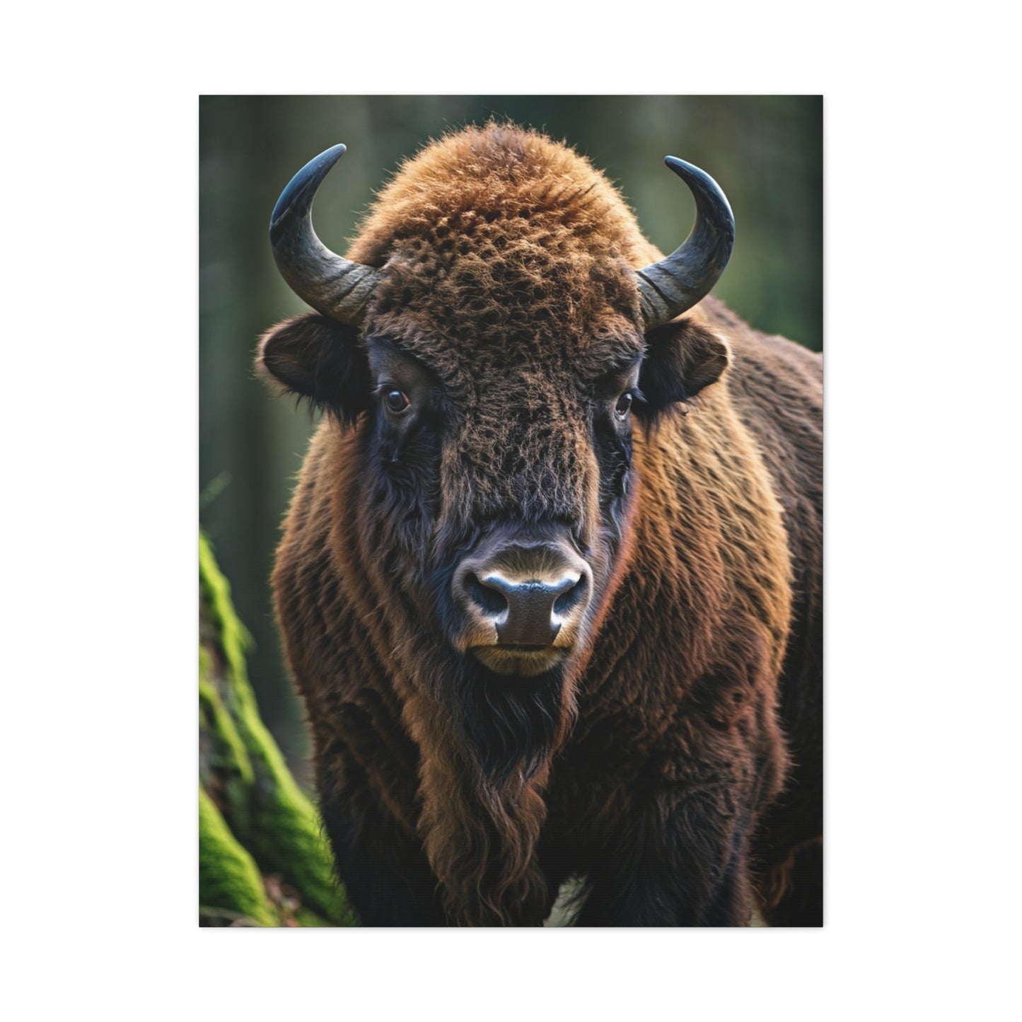 American Bison in Prairie Grass Portrait Wall Art & Canvas Print