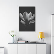 Magnolia Blossom Serenity Monochrome Wall Art & Canvas Prints