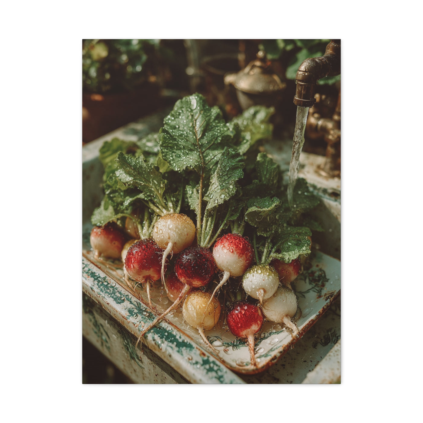 Fresh Garden Radishes Farm Sink Wall Art & Canvas Print