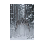 Great Grey Owl Winter Flight Wall Art & Canvas Print