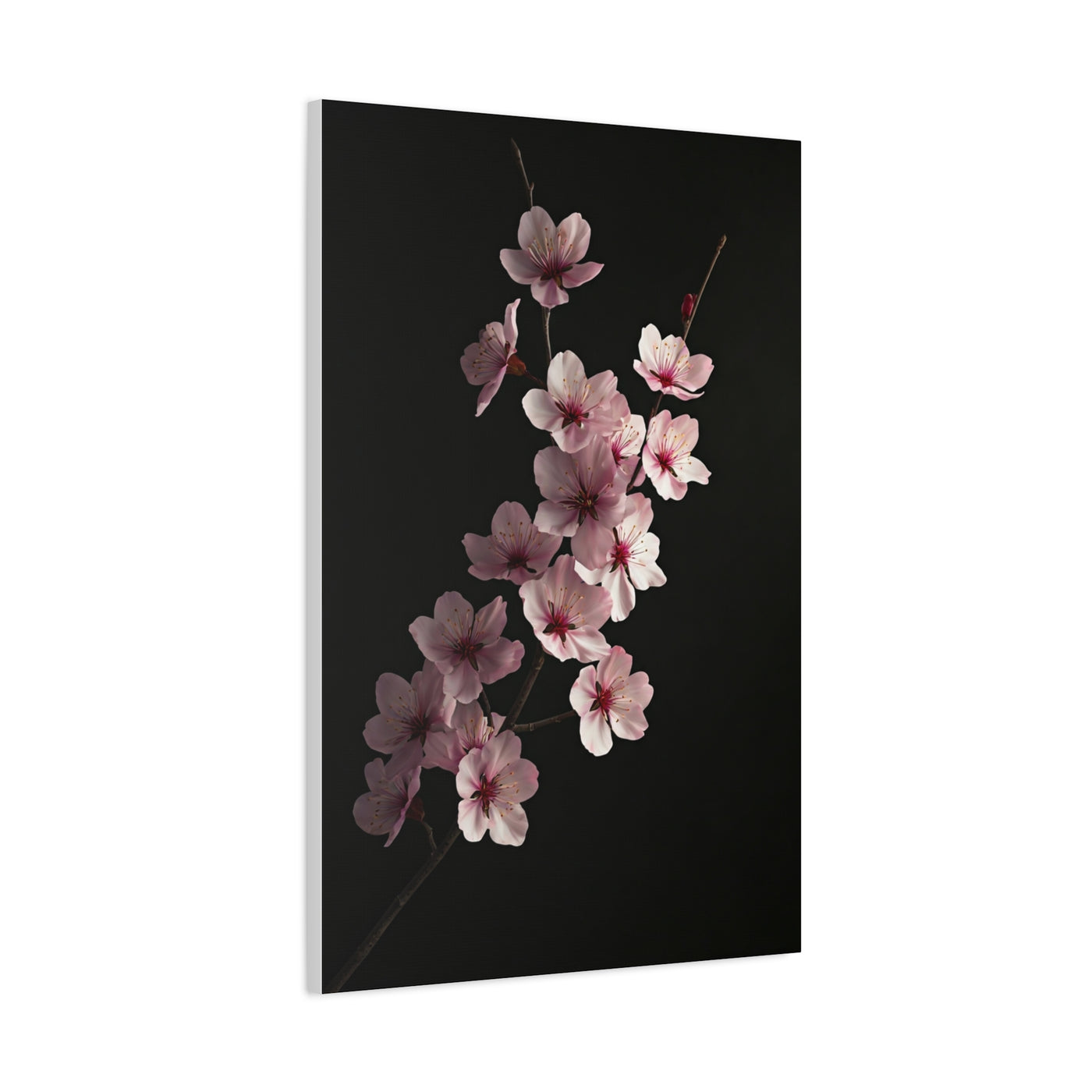 Dark Luxury Cherry Blossom Branch Wall Art & Canvas Prints