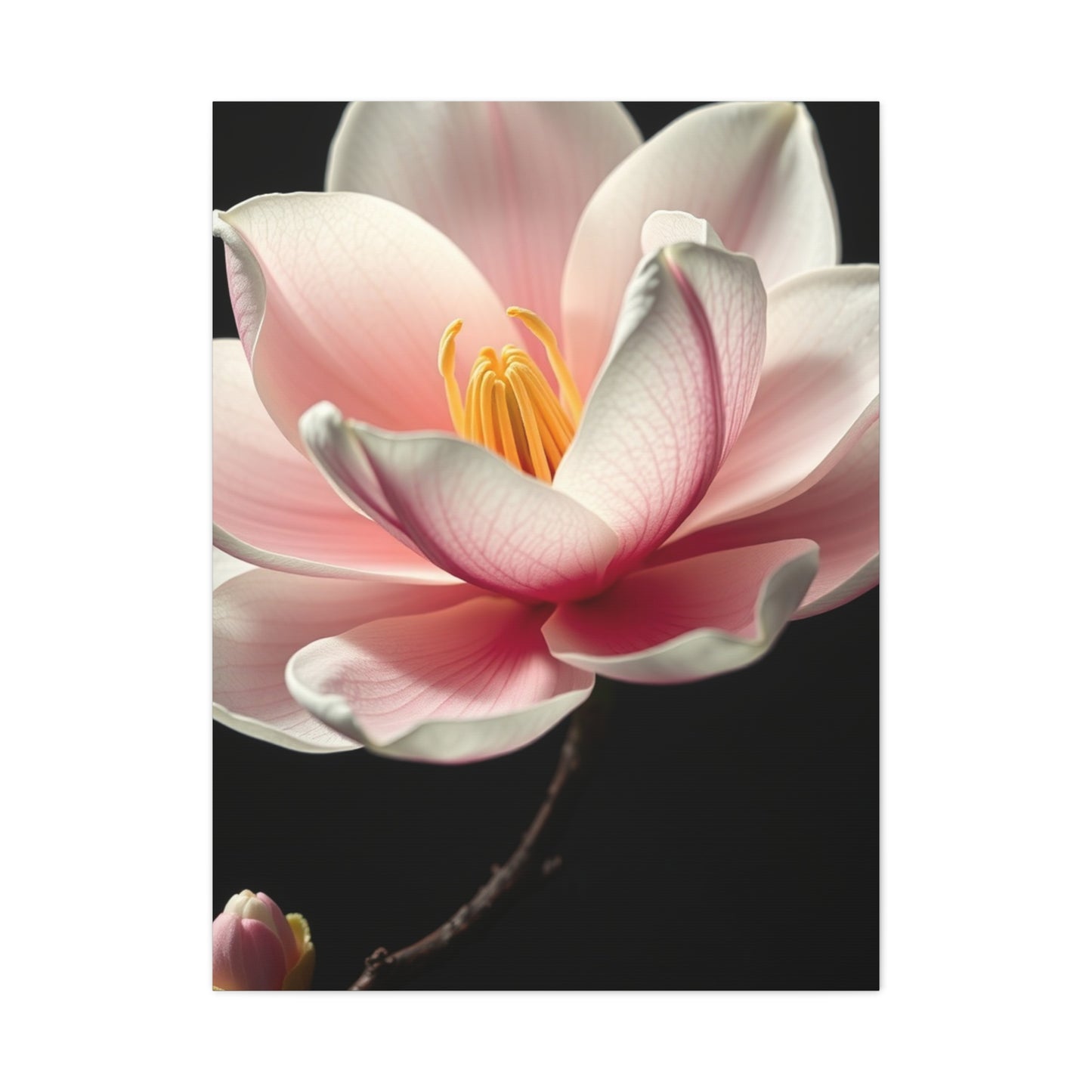 Magnolia Art Supreme Canvas Wall Art & Canvas Print