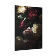 Luminous Peonies on Dark Background Wall Art & Canvas Print