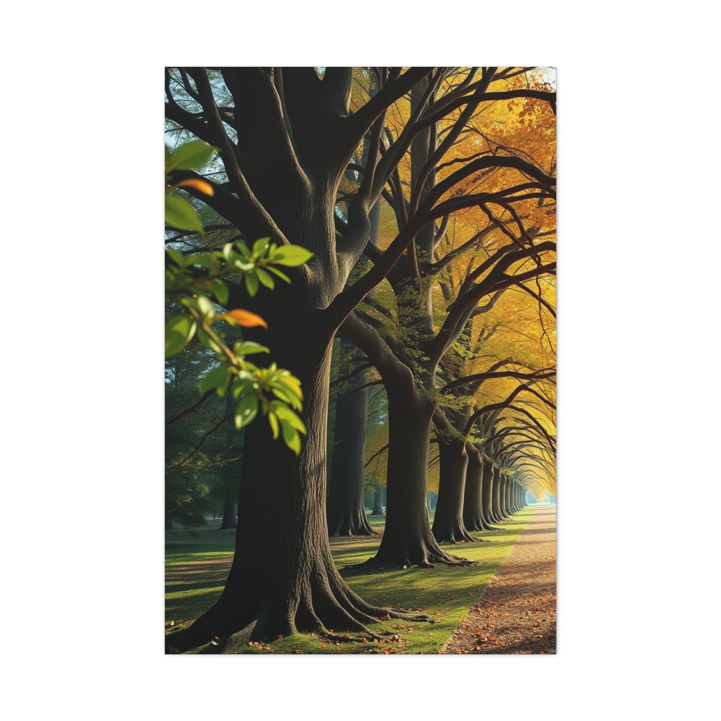 Supreme Trees Wall Art Beautiful Collection Wall Art & Canvas Print