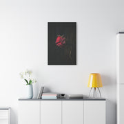 Withered Crimson Rose Still Life Wall Art & Canvas Print