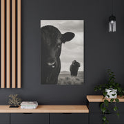 Black Angus & Bison Dual Portrait Landscape Wall Art & Canvas Print