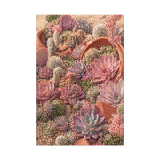 Pink Succulent Garden Wall Art & Canvas Print