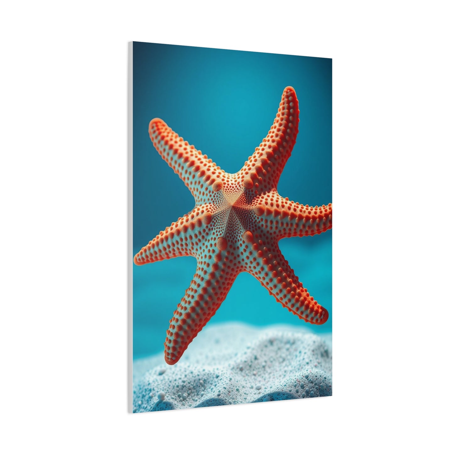 Starfish Art Supreme Canvas Wall Art & Canvas Print