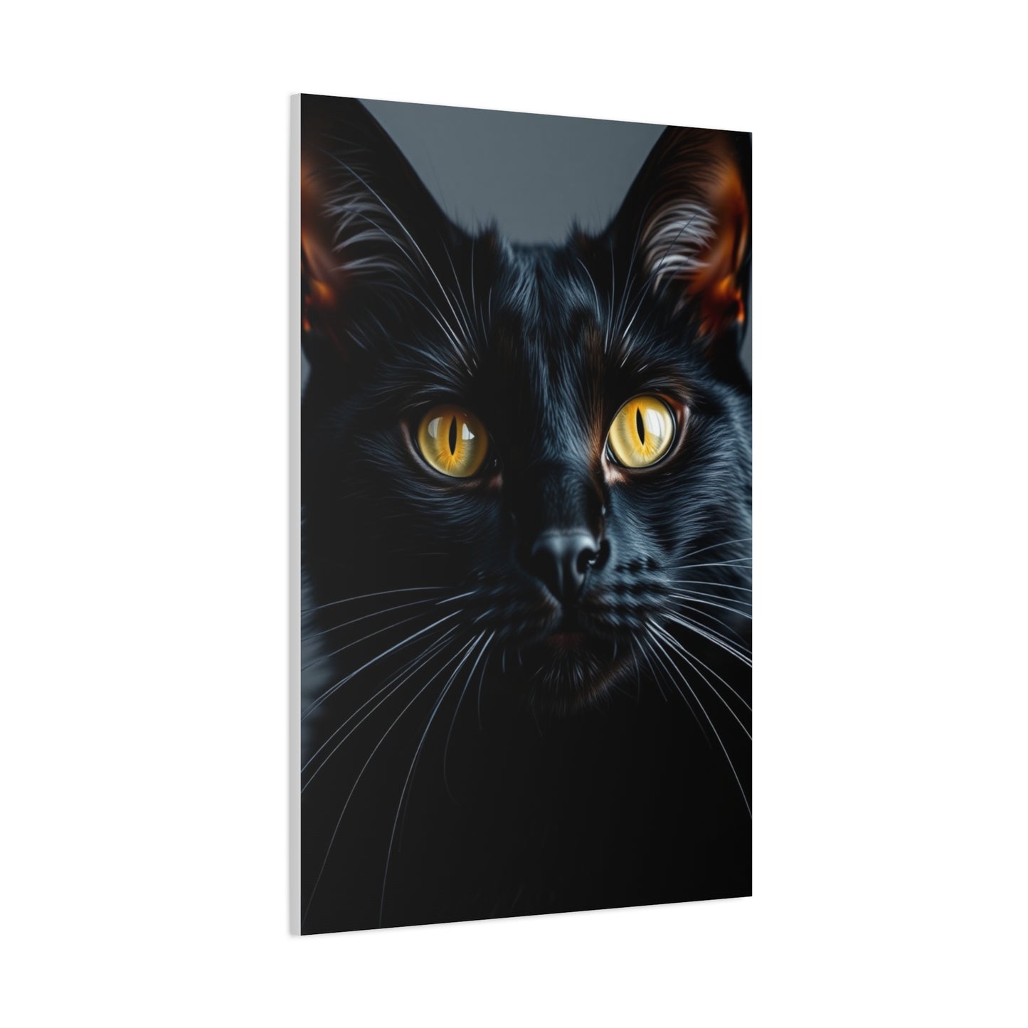 Supreme Black Cat Art Beautiful Collection Wall Art & Canvas Print