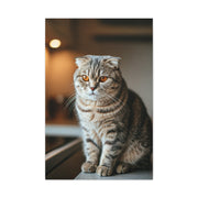 Copy of Copy of Copy of Copy of Copy of Copy of Copy of Copy of Copy of Copy of Matte Canvas, Stretched, 1.25"