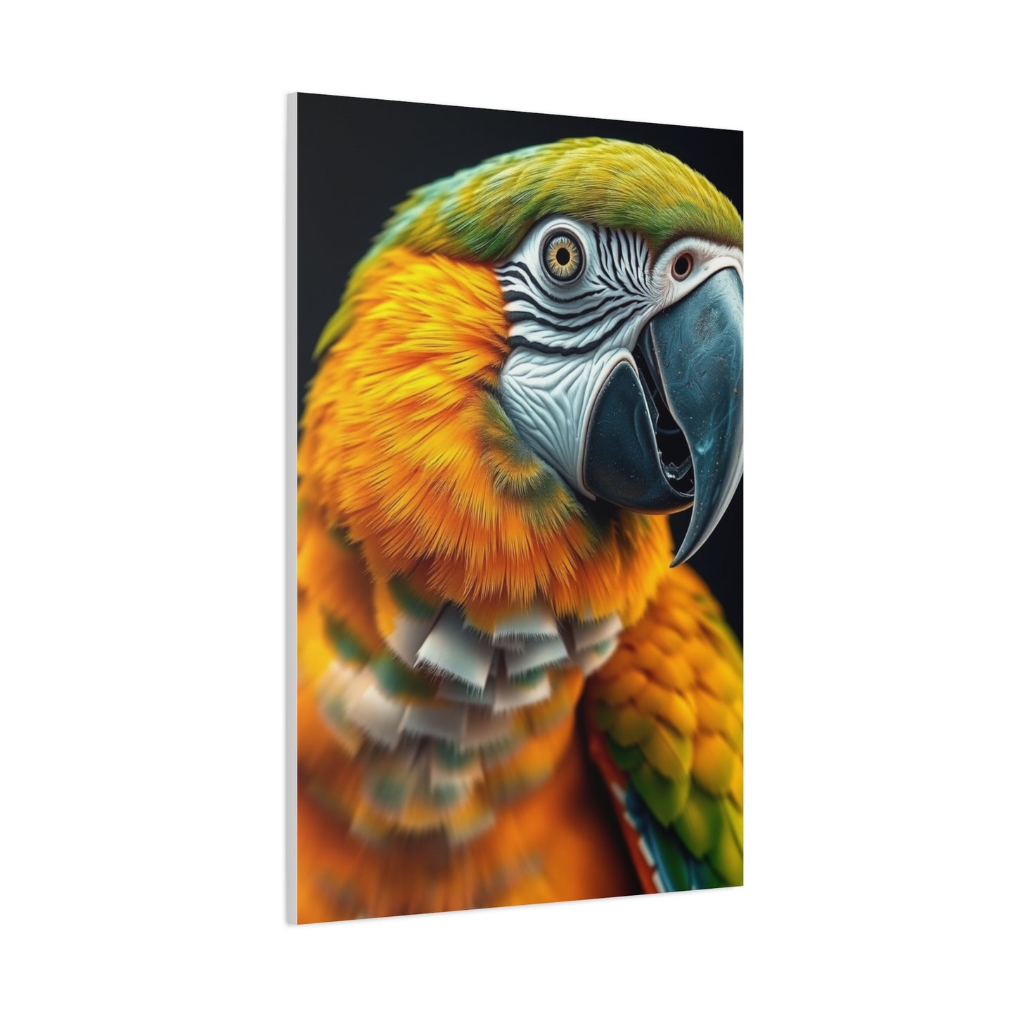Vision Parrot Art Art Wall Art & Canvas Print
