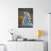 Snowy Grouse Portrait Wall Art & Canvas Prints