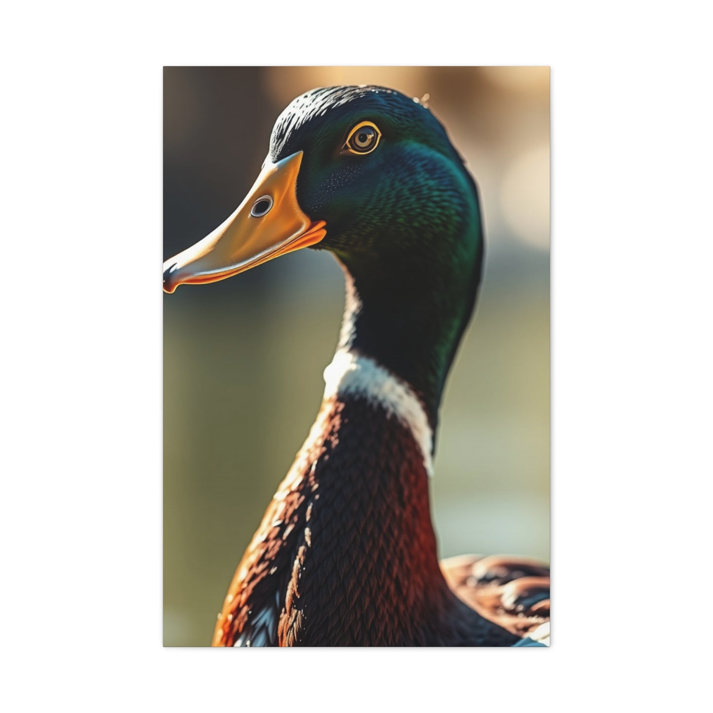 Supreme Duck Art Beautiful Collection Wall Art & Canvas Print