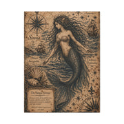 Antique Nautical Sirena Illustration Wall Art & Canvas Print