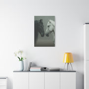 Dual Horse Contrast Portrait Wall Art & Canvas Print