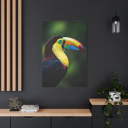 Toucan with Vibrant Yellow Beak Wall Art & Canvas Prints