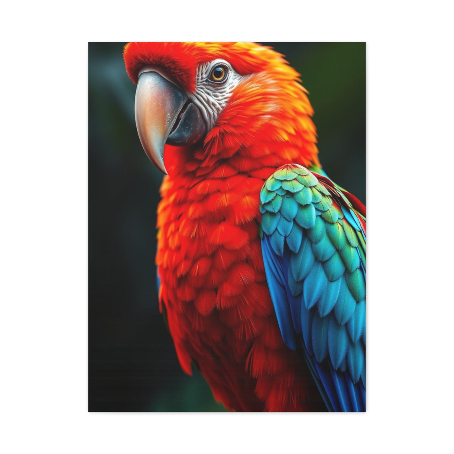 Supreme Tropical Birds Art Beautiful Collection Wall Art & Canvas Print