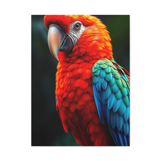 Supreme Tropical Birds Art Beautiful Collection Wall Art & Canvas Print
