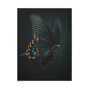 Dark Swallowtail Butterfly in Flight Wall Art & Canvas Prints
