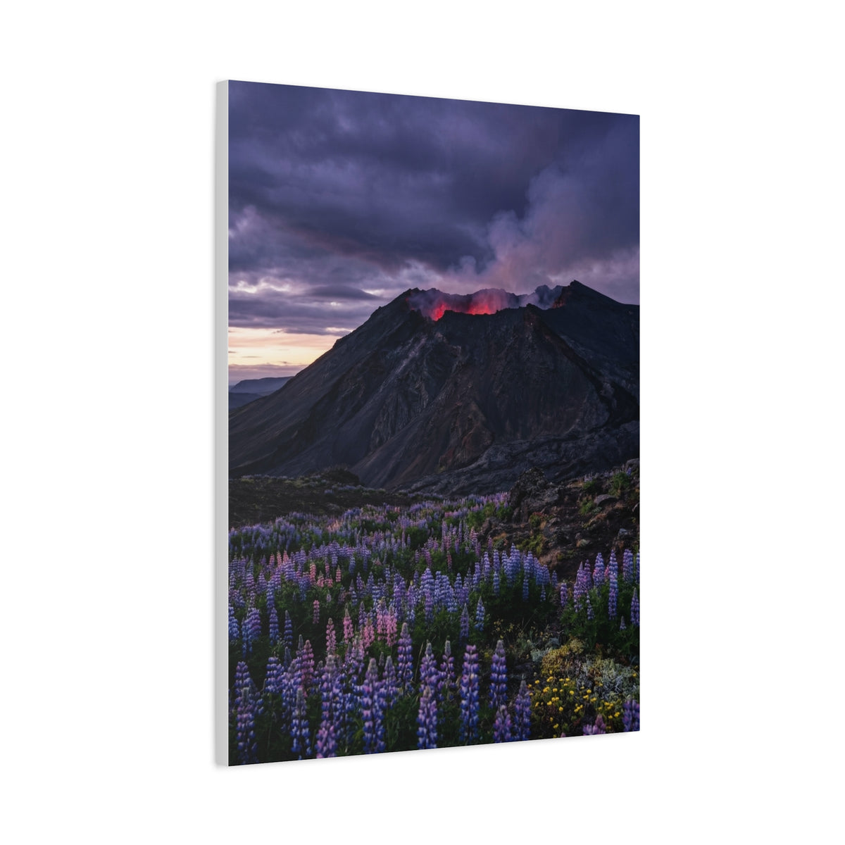 Volcanic Twilight & Wild Lupines Wall Art & Canvas Print