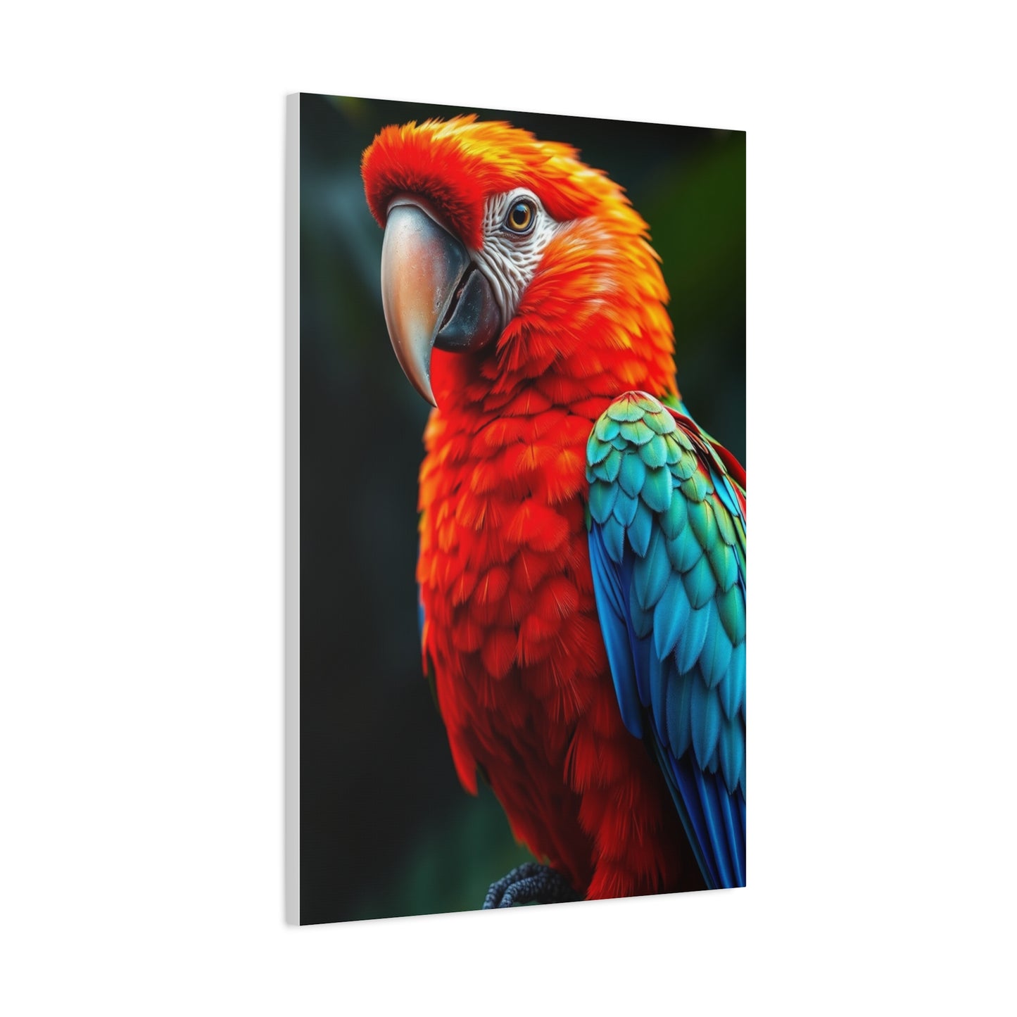 Supreme Tropical Birds Art Beautiful Collection Wall Art & Canvas Print