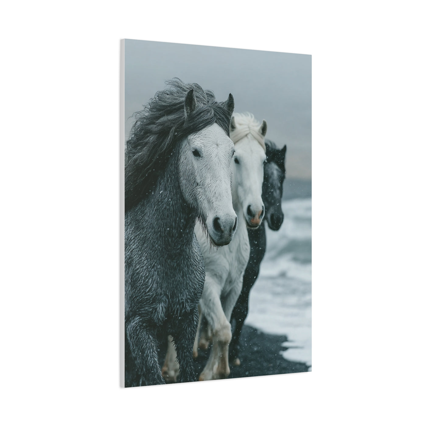 Coastal Wild Horses Storm Run Wall Art & Canvas Print