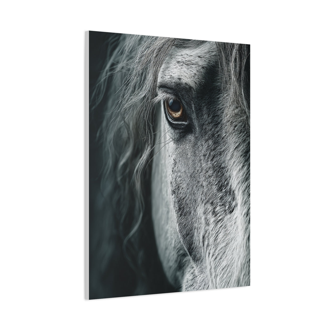 Horse Eye Intimate Monochrome Wall Art & Canvas Print