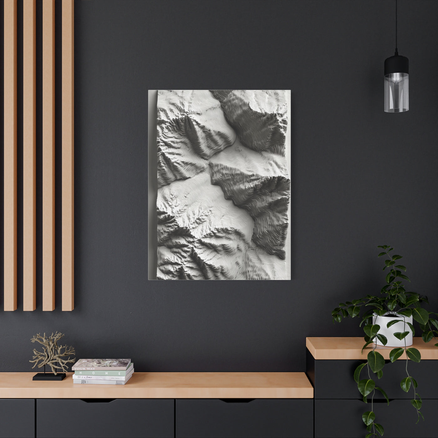 Sculpted Topographic Relief Wall Art & Canvas Print