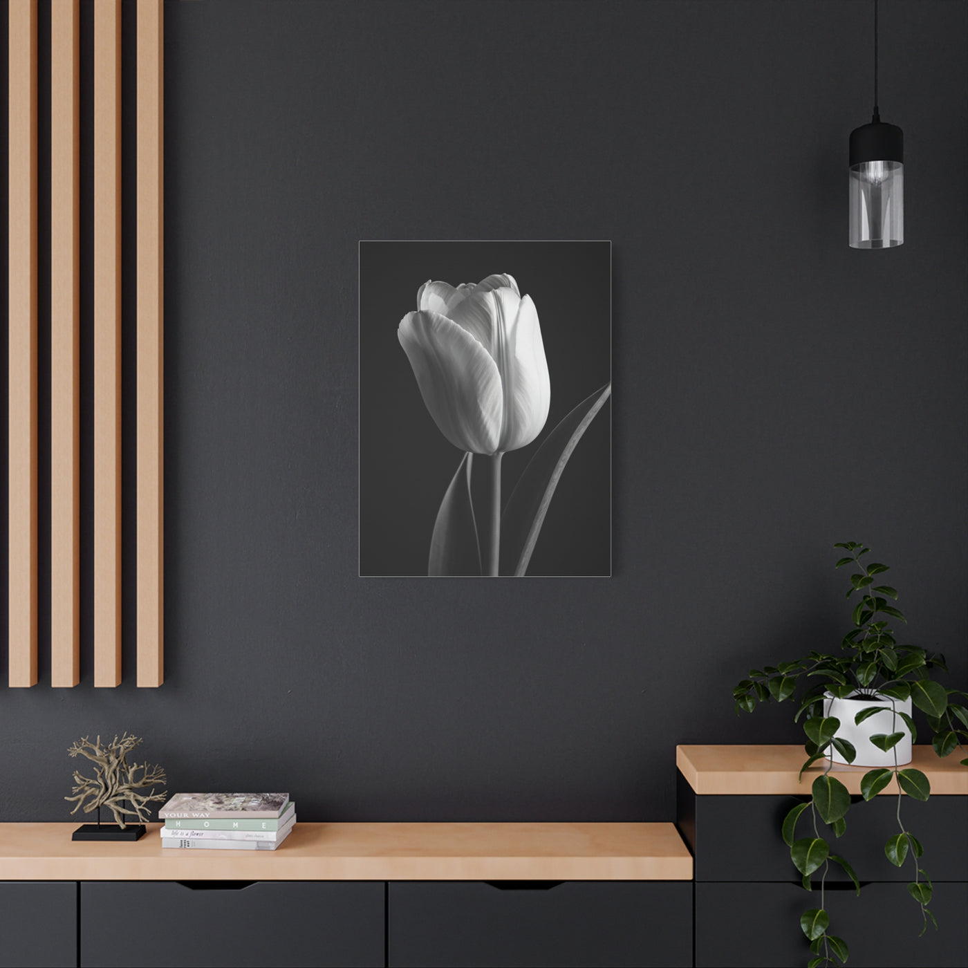 Single Tulip Elegance Monochrome Wall Art & Canvas Prints