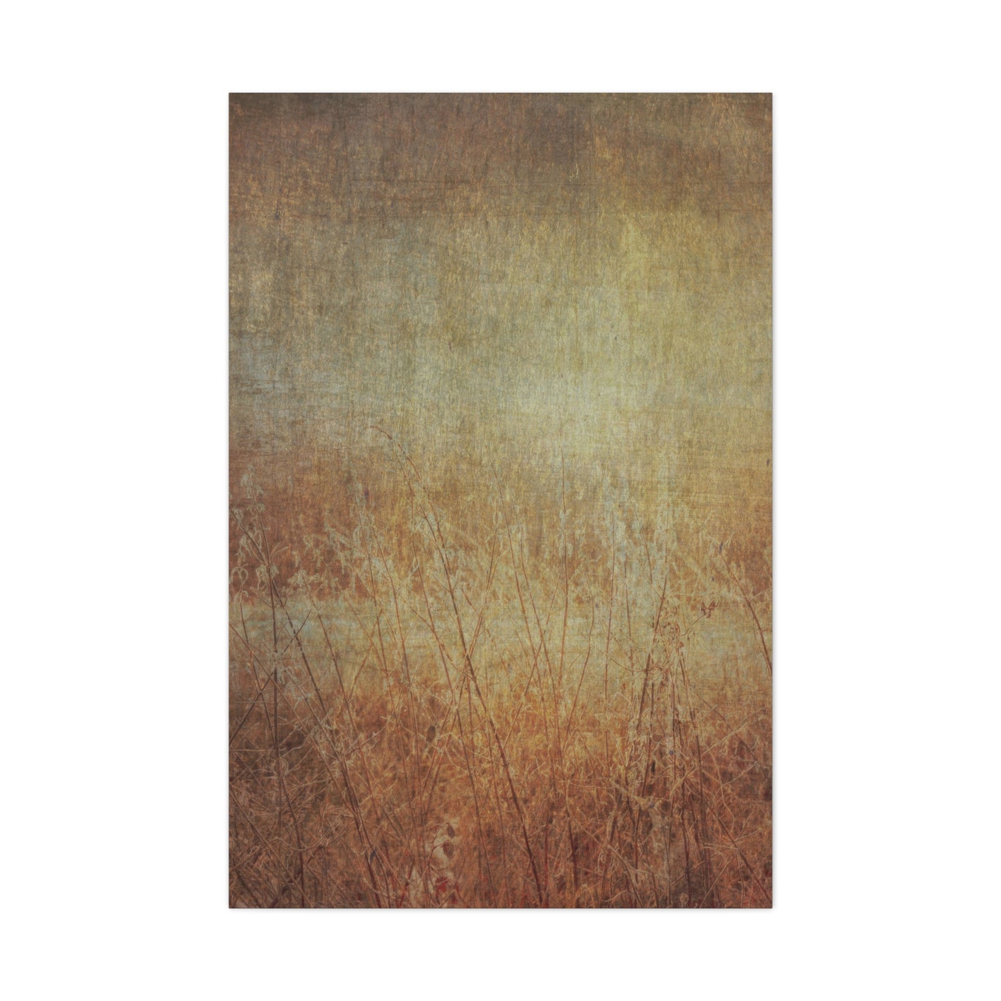 Golden Fields Wall Art & Canvas Prints