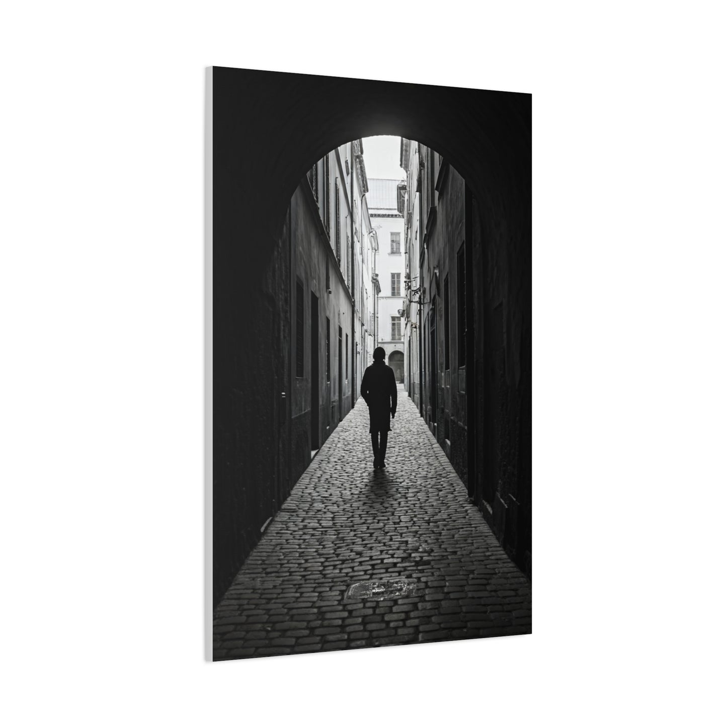 Solitary Alley Silhouette Wall Art & Canvas Prints