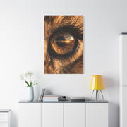 Lion Eye Reflection Macro Wall Art & Canvas Print