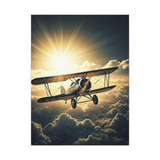 Sunlit Vintage Biplane Flight Wall Art & Canvas Prints
