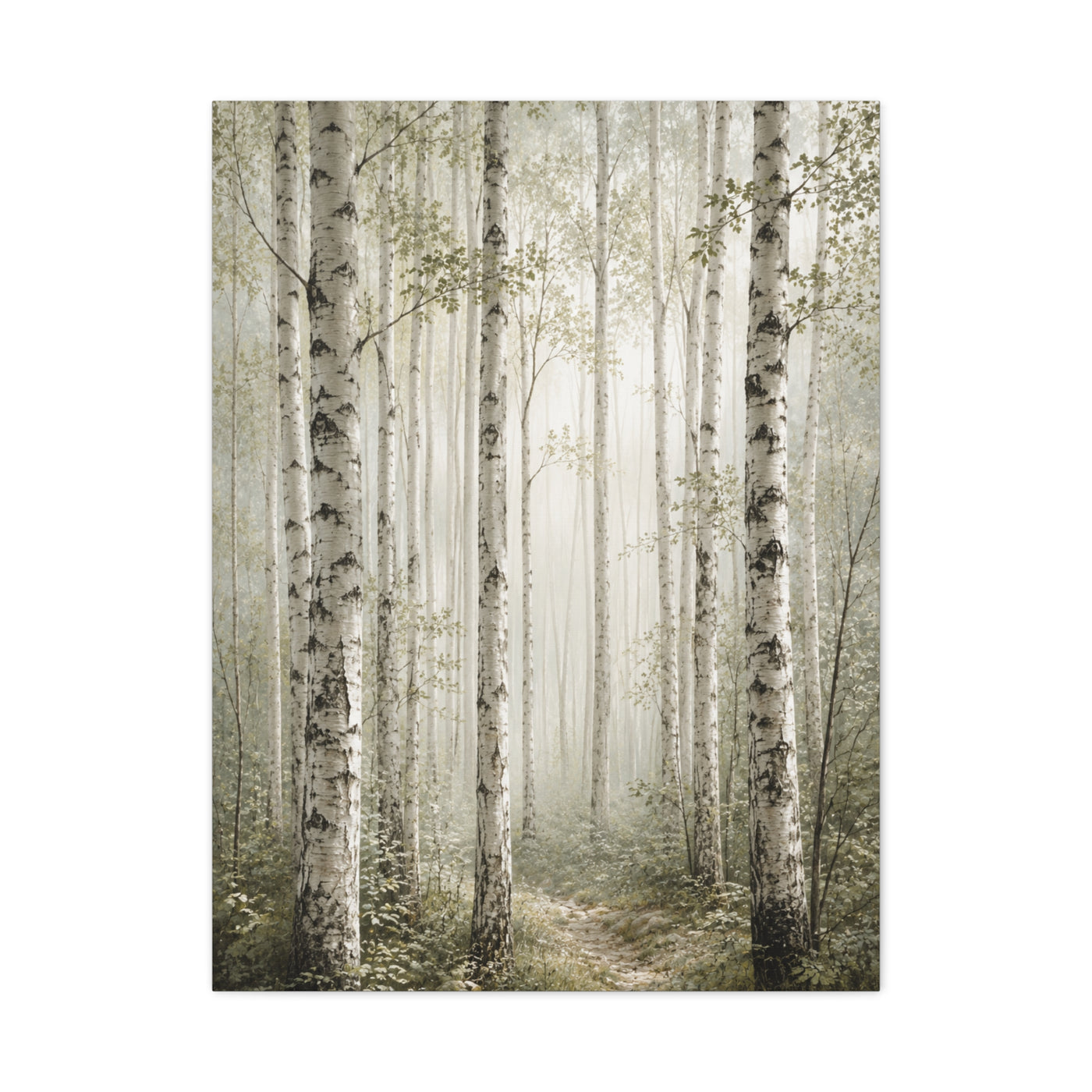 Soft Birch Forest Pathway Trees Wall Art & Canvas Print