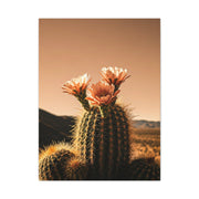 Desert Barrel Cactus Bloom at Sunset Wall Art & Canvas Prints