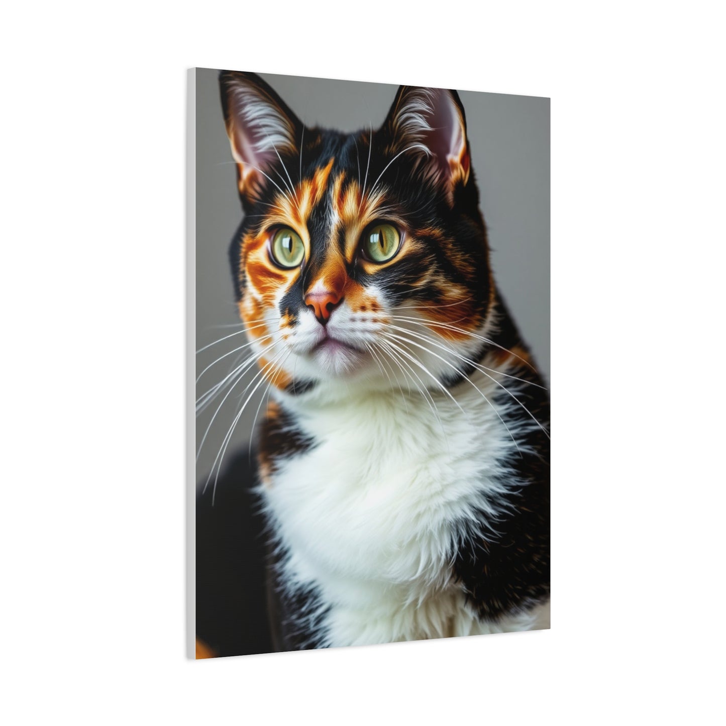 Calico Cat Art Supreme Gallery Wall Art & Canvas Print