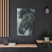 Black Stallion Close Portrait Wall Art & Canvas Print