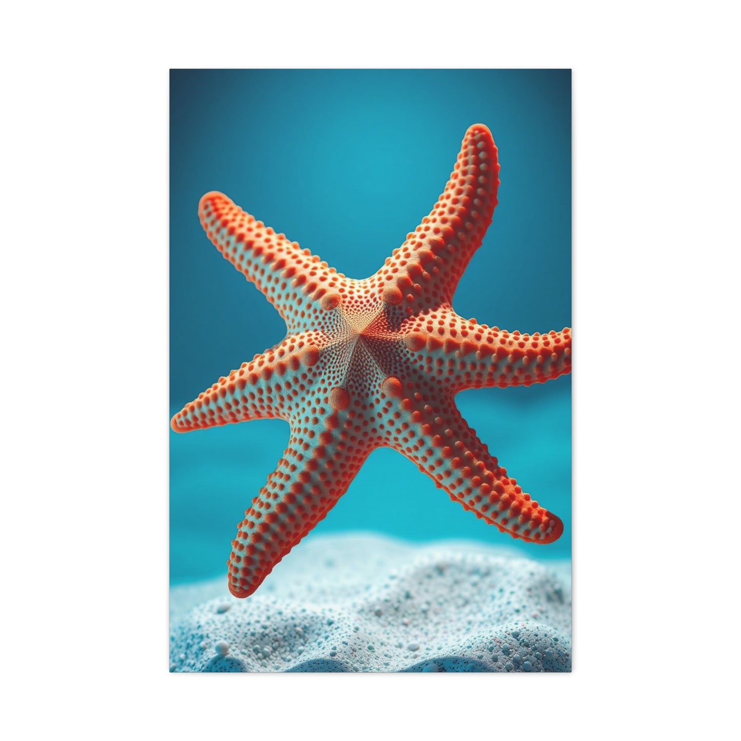 Starfish Art Supreme Canvas Wall Art & Canvas Print